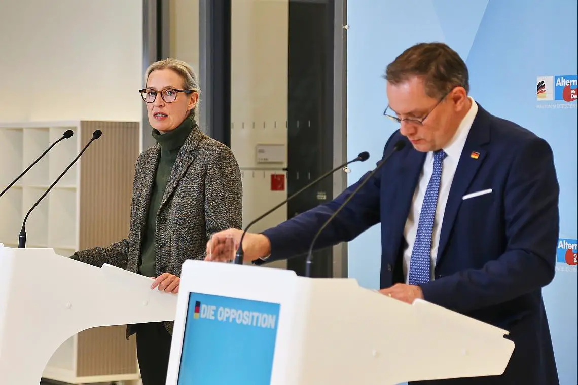 Alice Weidel und Tino Chrupalla (Archiv)