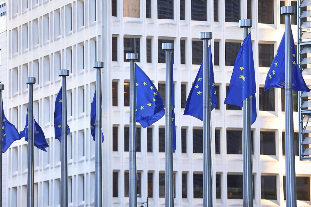 EU-Fahnen (Archiv)