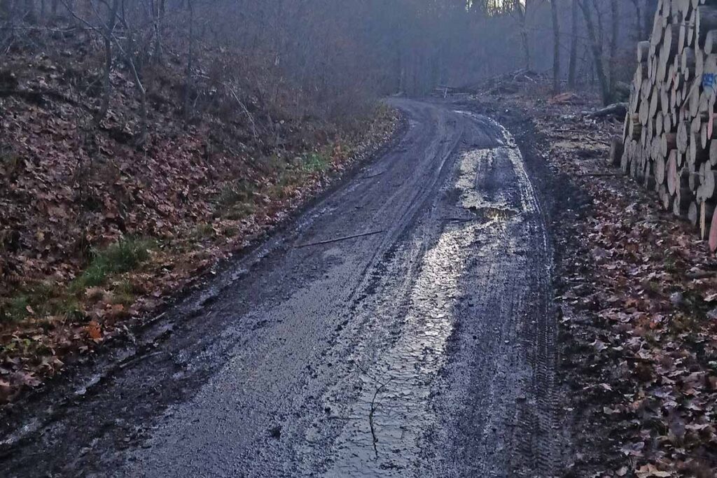 mucherwiesental