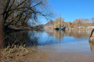 ARANKA UMGESTUeRZTE BAeUME