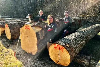 Braut der Wertholzsubmission Rheinland mit Submissionsteam