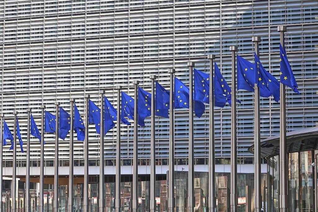 EU-Fahnen (Archiv)