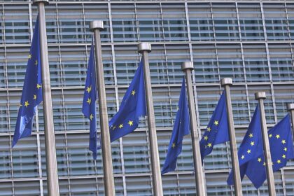 EU-Fahnen (Archiv)
