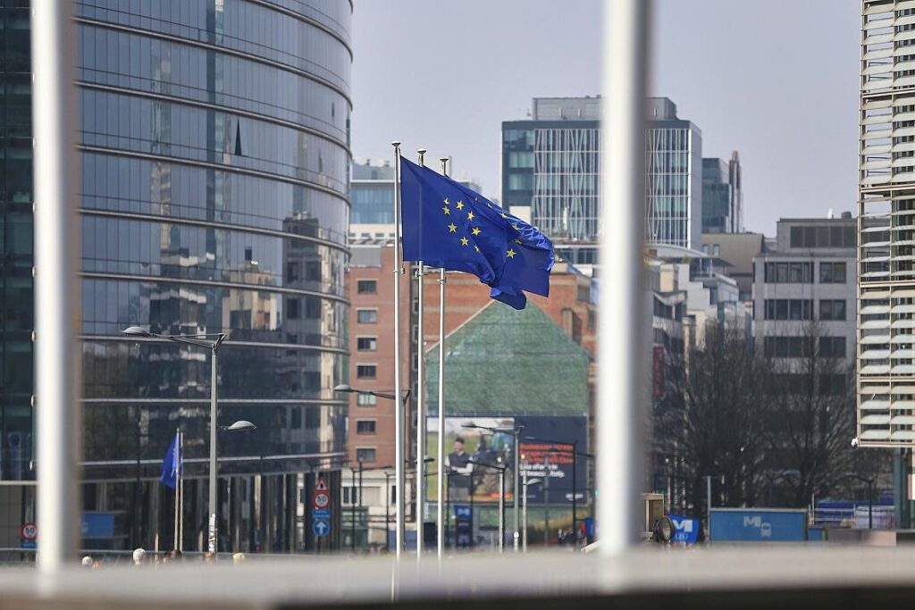 EU-Fahnen (Archiv)