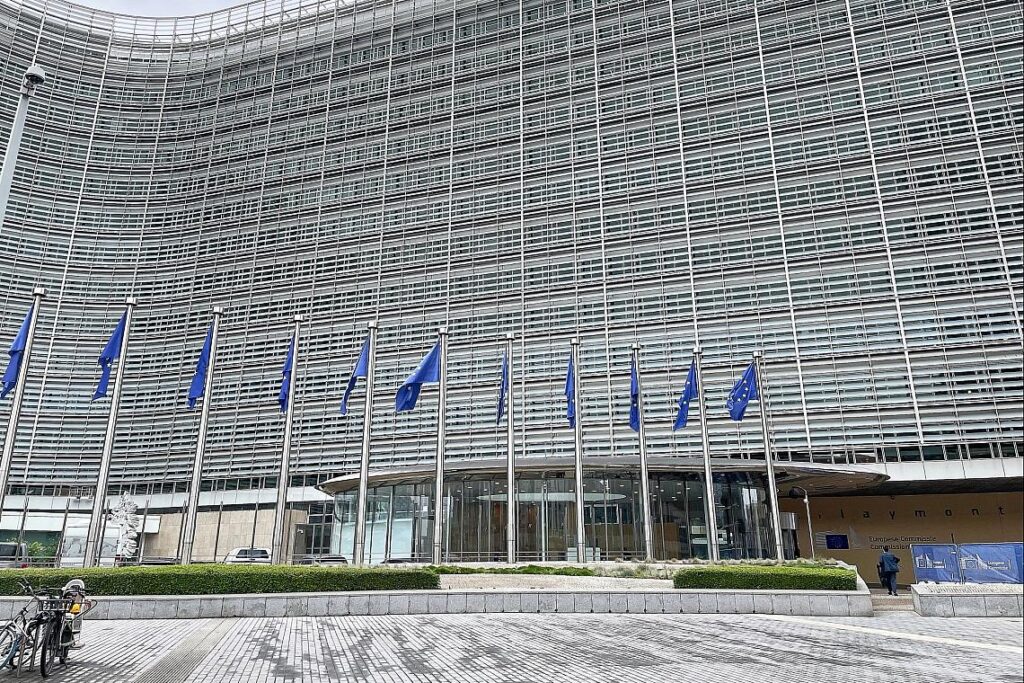 EU-Fahnen (Archiv)