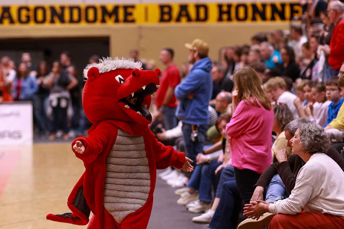 Dragons Ulm 9