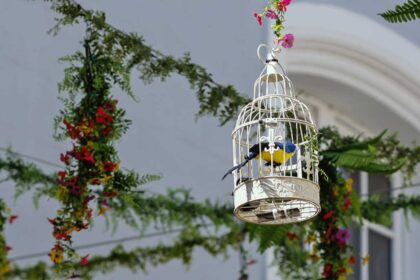 Portugiese Vogelkaefige 3