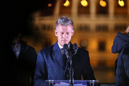 Péter Magyar (Archiv)