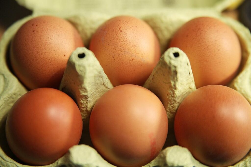 Eier (Archiv)