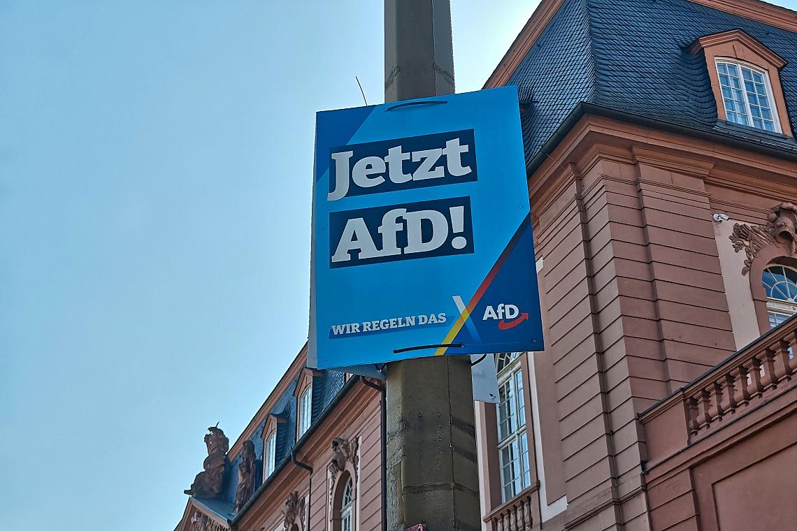 AfD-Plakat (Archiv)