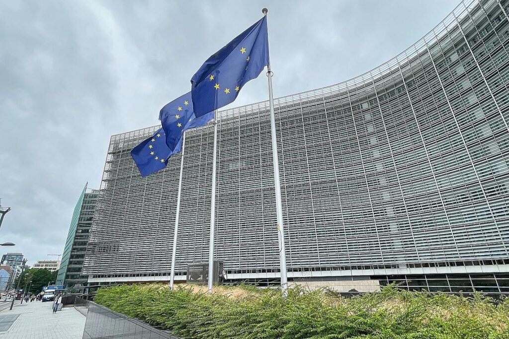 EU-Fahnen (Archiv)