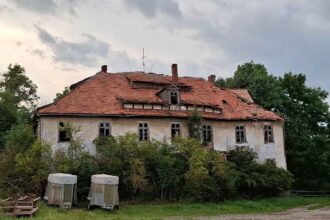ruine