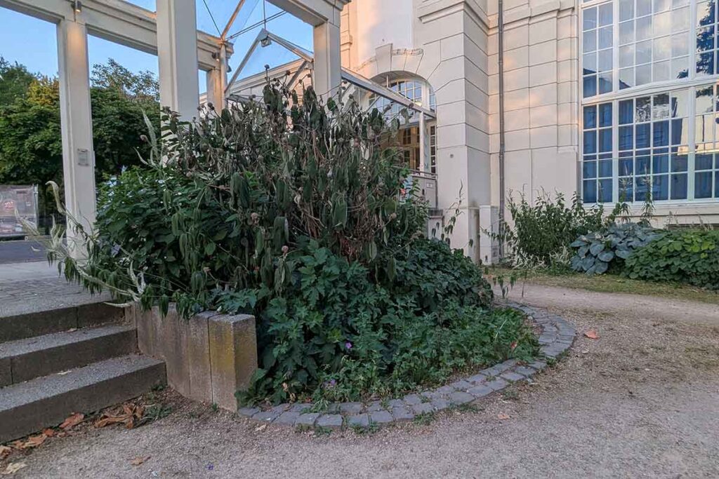 Kurhaus 5