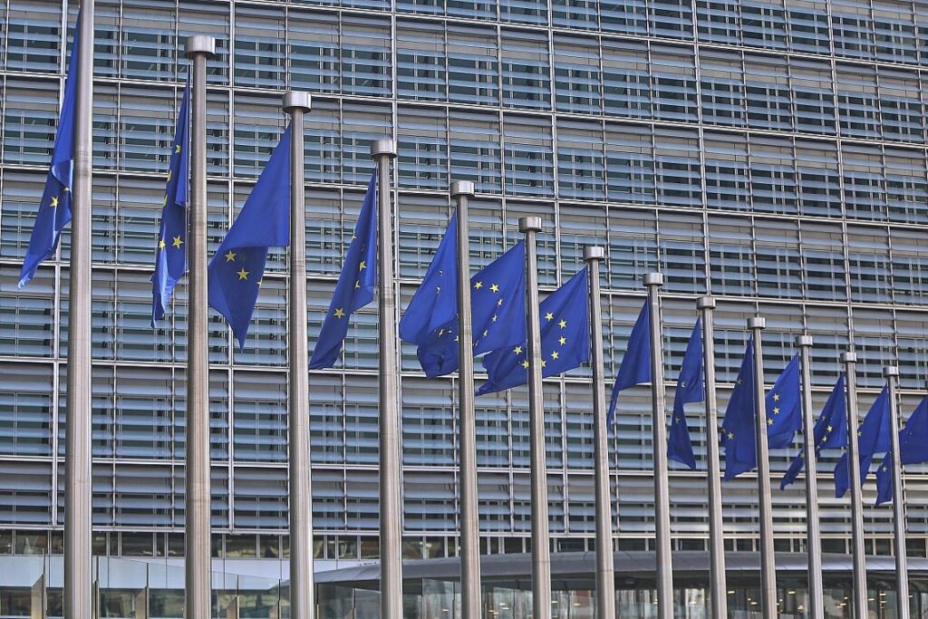 EU-Fahnen (Archiv)