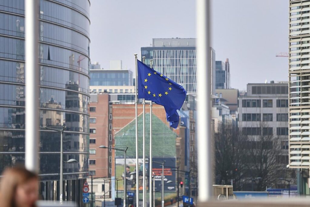 EU-Fahnen (Archiv)