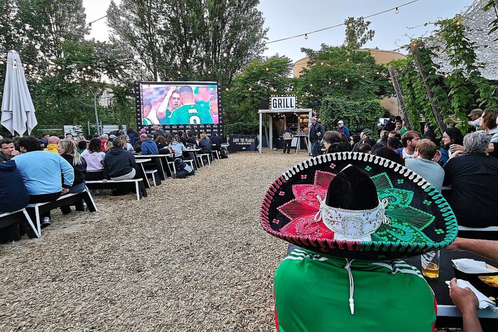 Public Viewing zur Fußball-WM (Archiv)