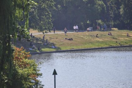 Leute liegen Ende Juni 2026 auf einer Wiese