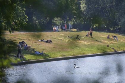 Leute liegen Ende Juni 2026 auf einer Wiese