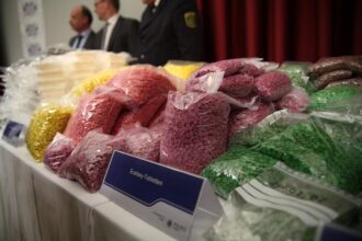 Drogenfund nach Razzia (Archiv)