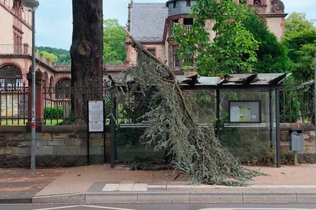 sturmschaden