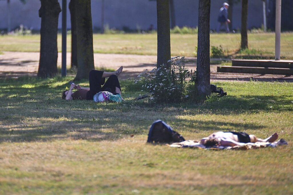 Sommer (Archiv)