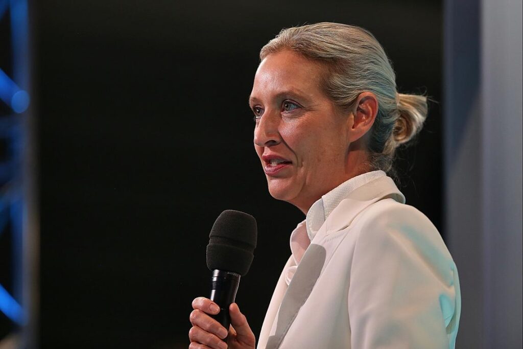 Alice Weidel (Archiv)