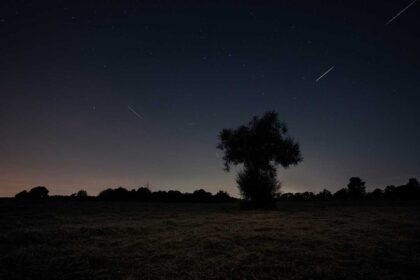 diephotopotato shooting stars 6545076
