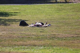 Sommer (Archiv)