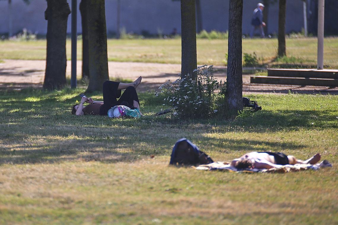 Sommer (Archiv)