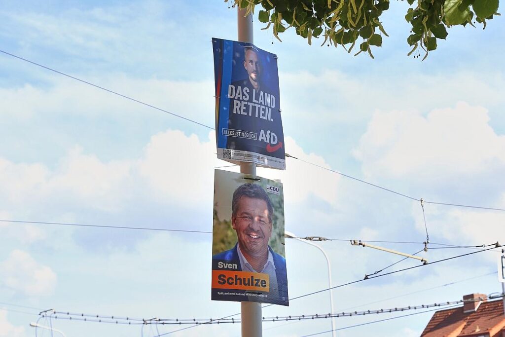 Wahlplakate vor der Landtagswahl in Sachsen-Anhalt (Archiv)
