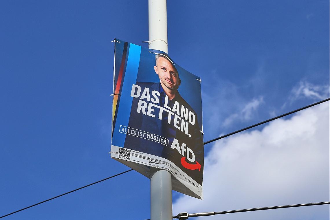 Wahlplakat vor der Landtagswahl in Sachsen-Anhalt (Archiv)
