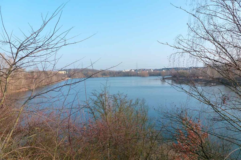 rotter see