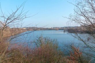 rotter see