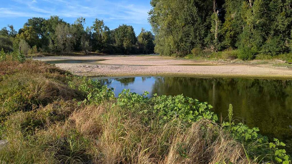 toter rheinarm