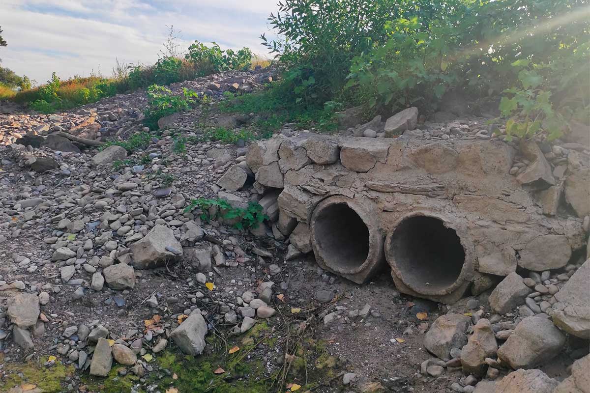 DWD warnt vor anhaltender Bodentrockenheit – Auch das Siebengebirge leidet unter der Trockenheit 2 zufluss toter rheinarm