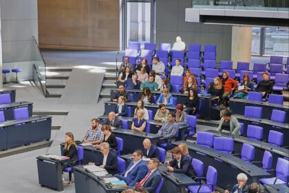 Linke-Bundestagsfraktion (Archiv)