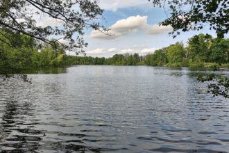Badesee (Archiv)