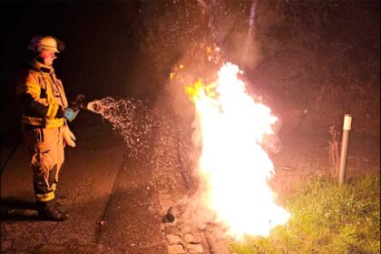 muelltonnenbrand
