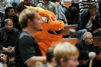 Neues Dragonsmaskottchen