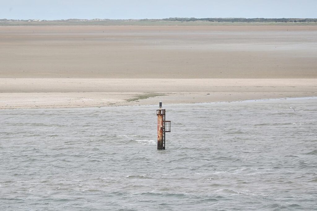 Dalbe in der Nordsee (Archiv)