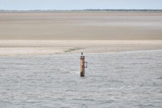 Dalbe in der Nordsee (Archiv)