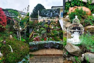 hallowien2